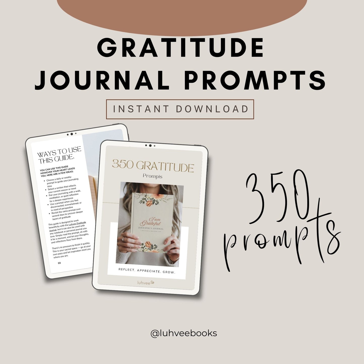 350 Gratitude Journal Prompts Guide — Digital Download