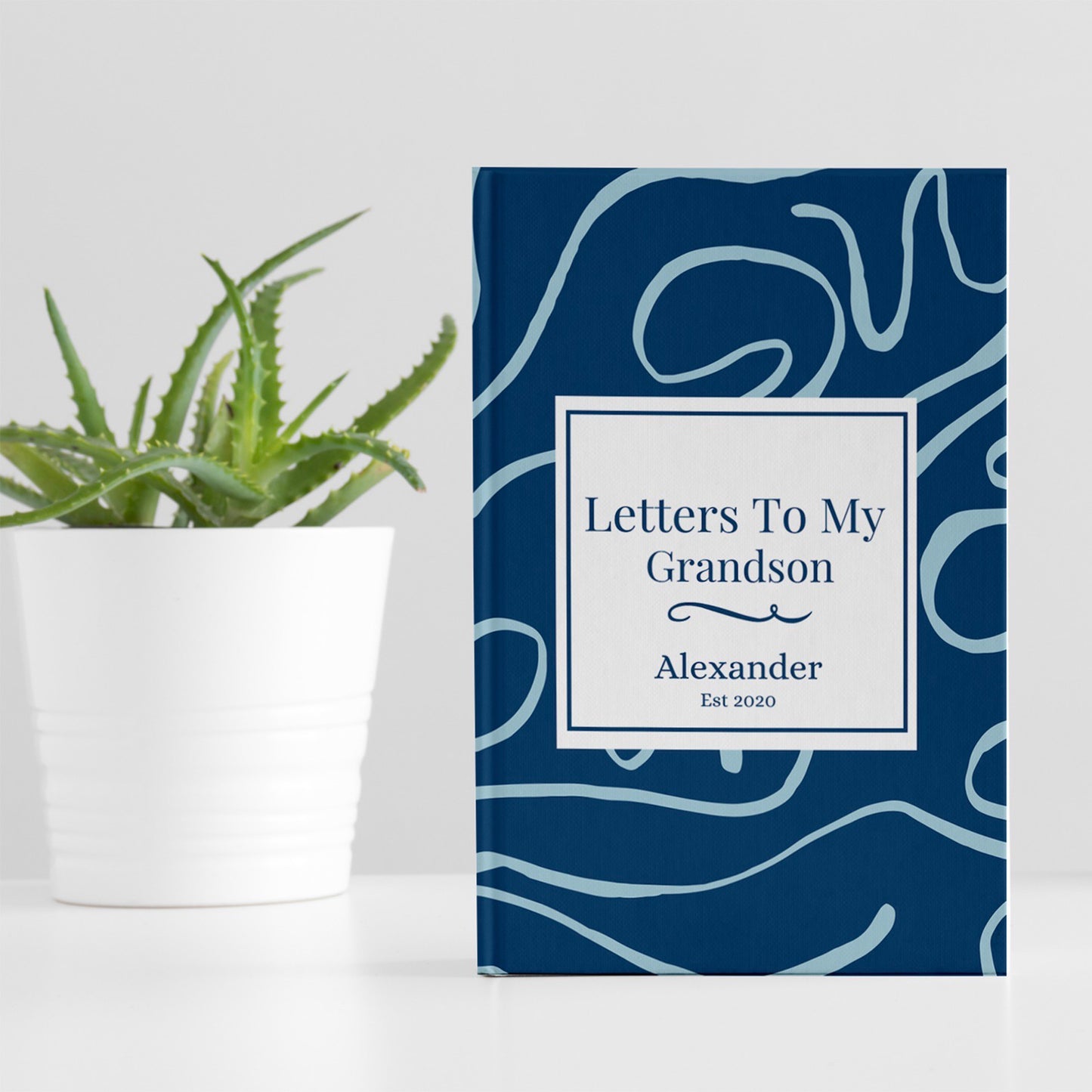 Keepsake book for grandson. Letters To My Grandson. Luhvee Books.